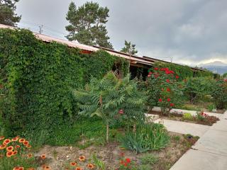 Пансионат Абрикос - 6