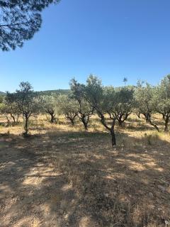Magnifique appartement T3 rénové avec goût au coeur des vignes - Cogolin - 6
