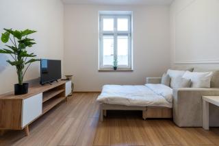 Kościuszki Comfy Studio by BookingHost - Katowice - 8