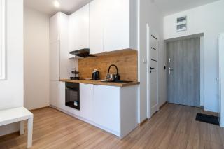 Kościuszki Comfy Studio by BookingHost - Katowice - 2
