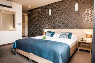 Hotel Deluxe with free Wellness and Fitness Centrum - Nitra - 2
