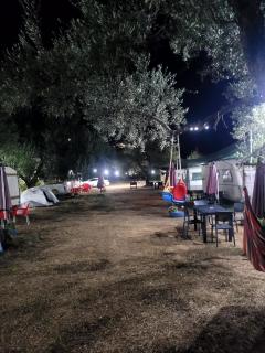 Aquariumi Jale Camping - Jal - 9