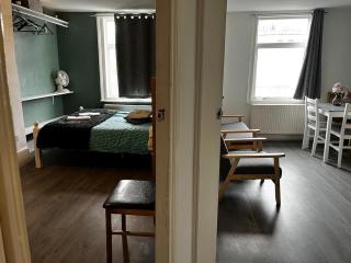 2Bedroom Basic and Central Flat - Londra - 2