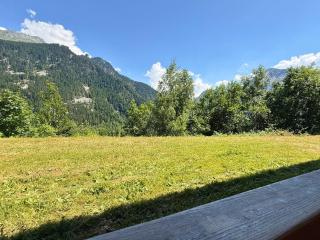 Mouflon, terrasse confort piscine, Spa - 2