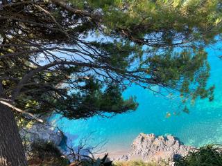 Affittacamere L’ Agrumeto - Maratea - 7
