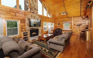 4 Cubs Cove - Pigeon Forge - 5