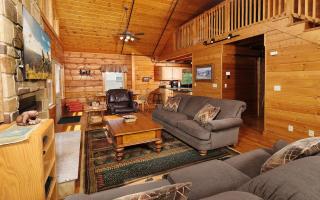 4 Cubs Cove - Pigeon Forge - 4