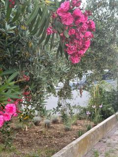 La Foresteria- Azienda agricola Garra - 7