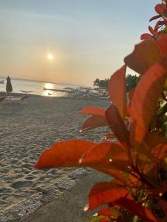 Apartment Lamy - Crikvenica - 7