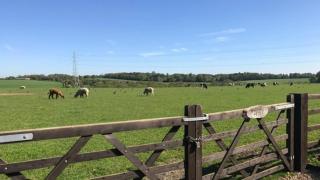 Nathans Shepherd's Hut - Chorleywood West - 3