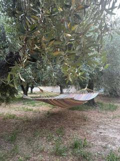 La Foresteria- Azienda agricola Garra - 7