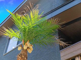 Sumoto - Cottage - Vacation STAY 24974v - Sumoto - 1