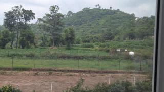 Mayur Home Stay, Morni Hills - Morni - 2