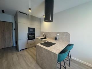 Vip Apartamenty Podpromie - Rzeszów - 2