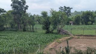 Mayur Home Stay, Morni Hills - Morni - 3