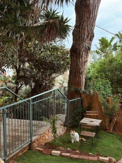 Garden of Eden Accommodation Unit in the heart of Carmel - Haifa - 3