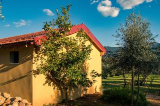 Quinta-lina de serpins - Serpins - 8