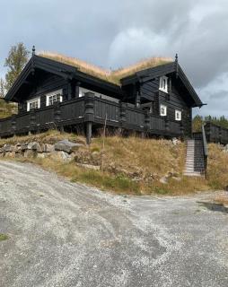 Luxurious 4 bedroom Mountain Cabin with Gaustatoppen View - Gaustablikk - 0