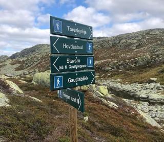 Luxurious 4 bedroom Mountain Cabin with Gaustatoppen View - Gaustablikk - 4