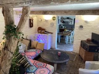 The Eclectic Coach House - Roydon - 6
