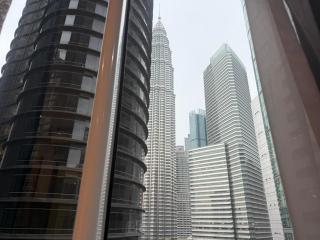 Dawn Legacy Suite - 0