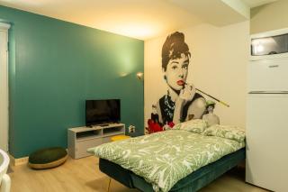 Appt moderne refait à neuf - Aire-sur-lʼAdour - 1