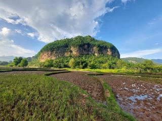 Thai Tam Homestay - Venuestay - Mai Châu - 7
