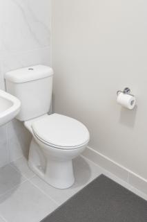 1 Bedroom Apartment Peace & Comfort Guaranteed - 2