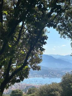 Tente Lodge avec Vue sur la Baie d'Ajaccio - Ajaccio - 5
