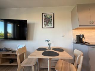 Prywatny Parking Neo Apartament by Rentoom - Toruń - 3