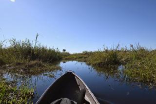 Golentle Home Stay - Maun - 5