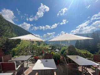 Pension & Appartements Ronacherhof - Kärnten Card Sommer 2025 inklusive! - Bad Kleinkirchheim - 7