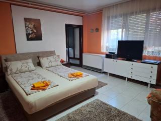 Nela Apartmani - Niš - 9