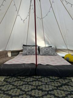 Ne Dacha типи - Karakol - 4