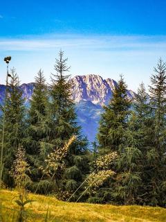 Almhütte Enzian - Greifenburg - 7