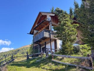 Almhütte Enzian - Greifenburg - 6