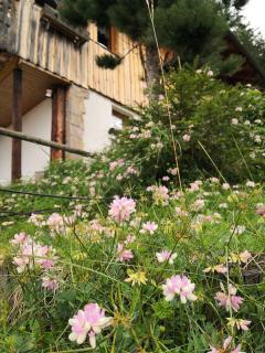 Almhütte Enzian - Greifenburg - 5