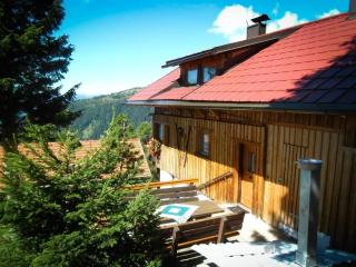 Almhütte Enzian - Greifenburg - 4
