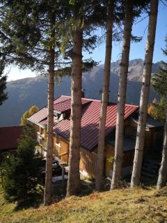 Almhütte Enzian - Greifenburg - 3