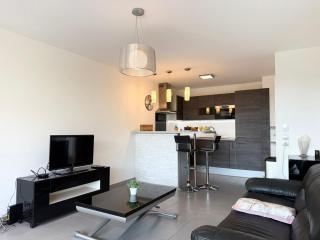 Magnifique appartement avec terrasse et piscine - Nice - 9