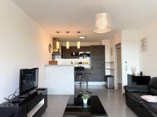 Magnifique appartement avec terrasse et piscine - Nice - 5