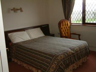 Seanor House Bed & Breakfast - Ballybunion - 7