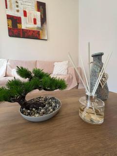 Apricot Apartment - Argostoli - 2