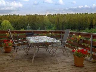 Ferienwohnung In Bad Elster Mit Grill, Terrasse Und Garten - Bad Elster - 0