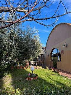 Il Gelsomino Bio Agriturismo - Alberese - 1