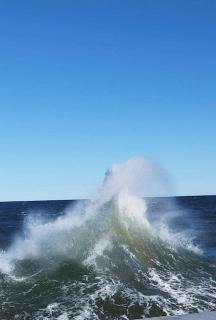 Baywatch-lux 2 - 1