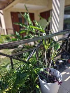 Ylang974 - Saint-Leu - 6