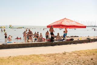 Vadkacsa Panzio - Balatonkenese - 9