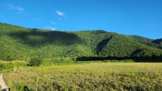 Suan Pa Khao Lom Homestay - - 5