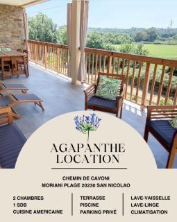 Agapanthe location - San-Nicolao - 0